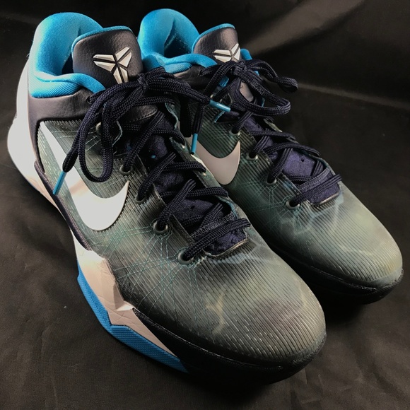 kobe 7 shark